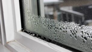<p>Tenants have complained about cold, damp conditions living in rental accommodation. </p>