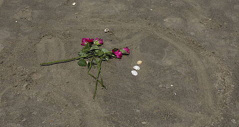 Teenage girl who died while swimming in Dublin is named