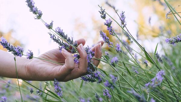 Green Fingers: Be adaptable and willing to change