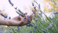Green Fingers: Be adaptable and willing to change