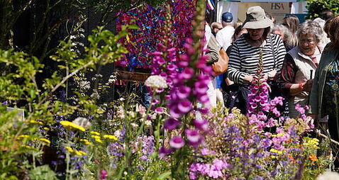 What's on and who is at Bloom this year?