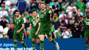 Hallgrimsson will bring clarity to struggling Ireland, says Lagerback Hallgrimsson will bring clarity to struggling Ireland, says Lagerback