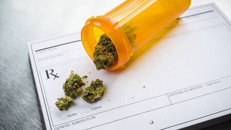 What's in a 'herb'? - Drug charges struck out over wording