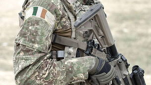 Wexford Councillors call on Government to hold right to housing referendum