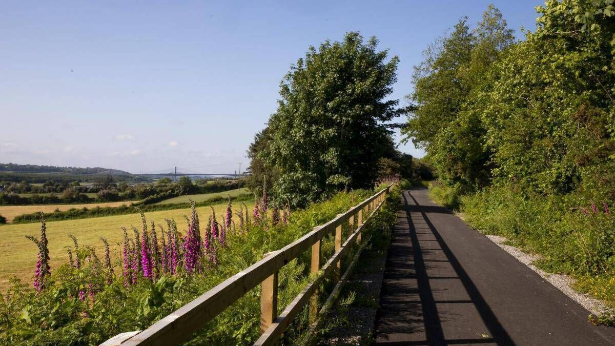 Long-awaited Ferrybank Greenway section to open in a matter of weeks 