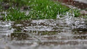 <p>The warning will remain in effect until 3 am tomorrow. Photo: iStock</p>