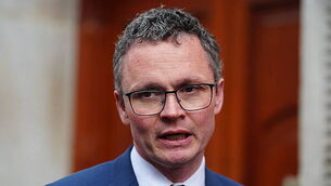Explained: What would happen if foot and mouth disease returned to Ireland?