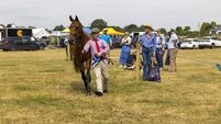 Dungarvan Show: Countdown to one of the longest running annual events in the locality!