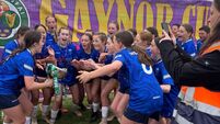 Brilliant Waterford land Gaynor Cup Bowl Final