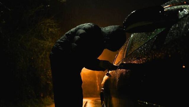 <p>The break-in occurred at Blackberry Fields, Waterford. Stock image</p>