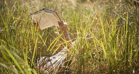 Nine brilliant books to put on your summer reading list