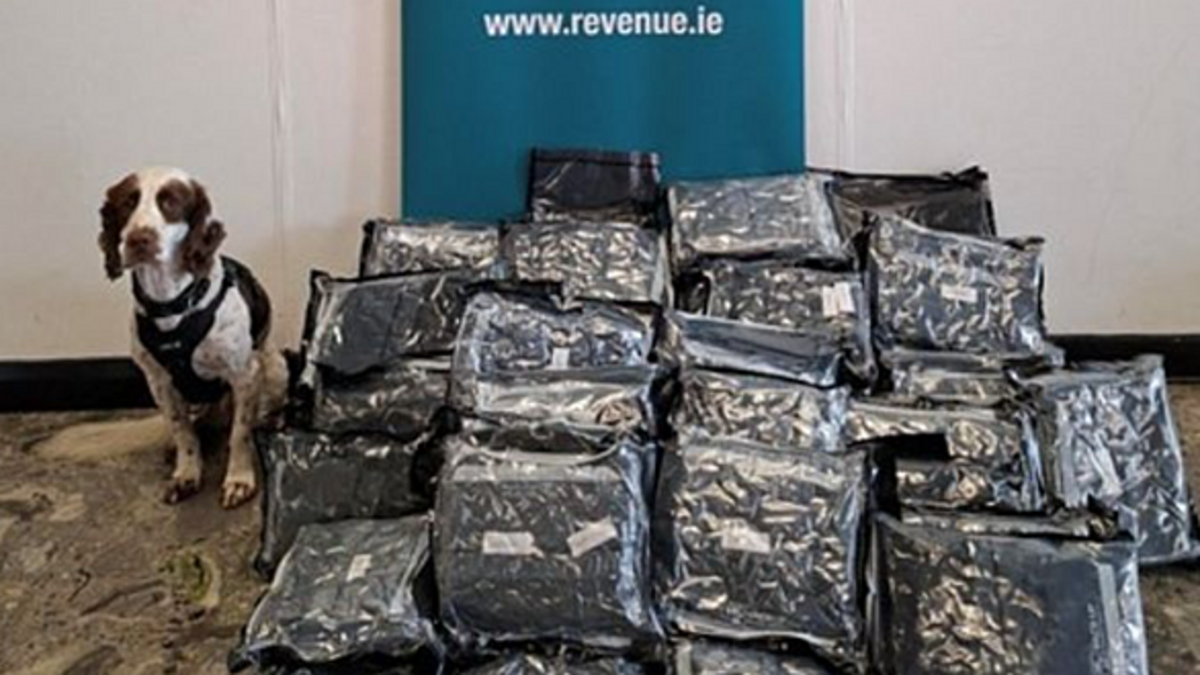 Cannabis worth €500,000 seized at Shannon Airport
