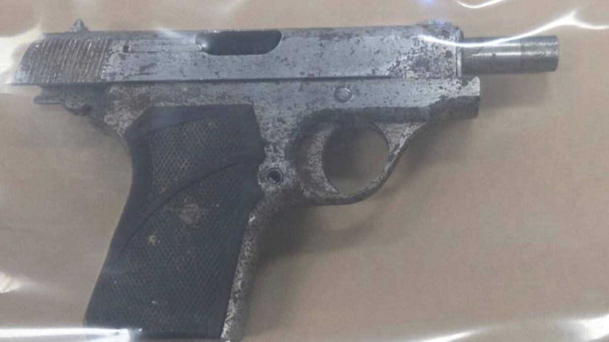 Firearm seized from vehicle in south east after driver attempts to flee on foot