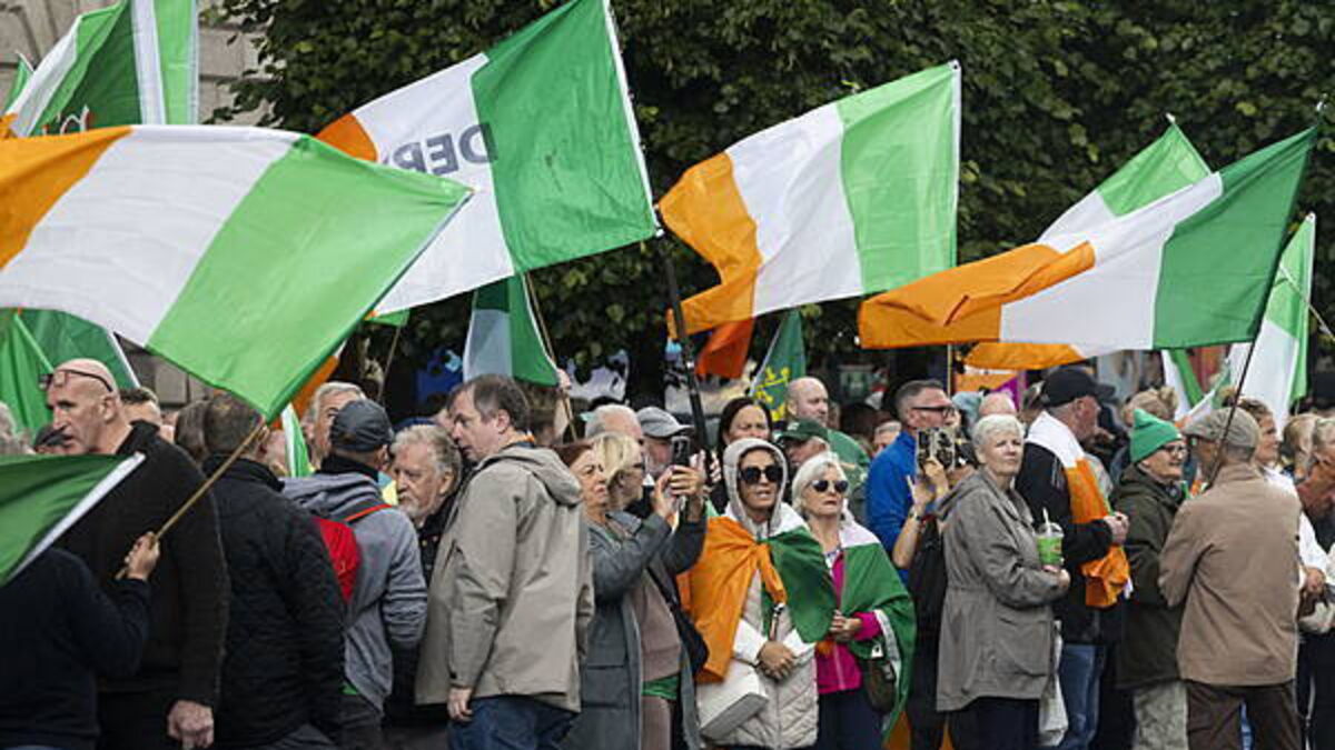 Anti-migrant protest clears after 400 march to Leinster House