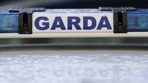 Irish Government considering social media ban for under-16s Irish Government considering social media ban for under-16s