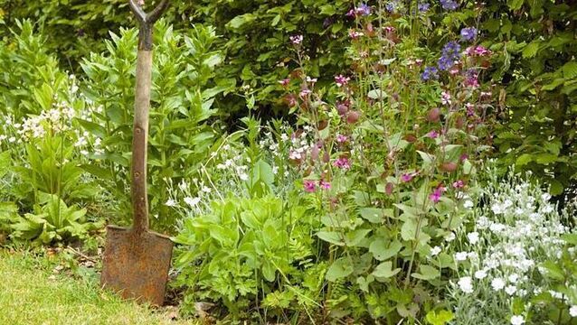 <p>The season is all about vibrant flower and foliar colours and, in the herbaceous perennial range, there are abundant choices. </p>