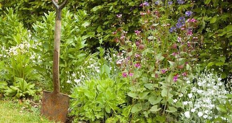 Green Fingers: Gardening during the longest day