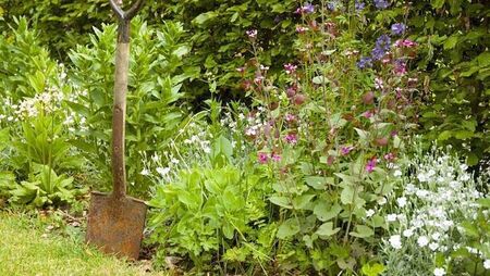 Green Fingers: Gardening during the longest day