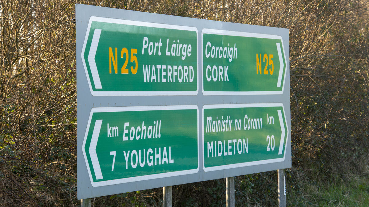 Waterford council asking local representatives to put political pressure on N25 issues