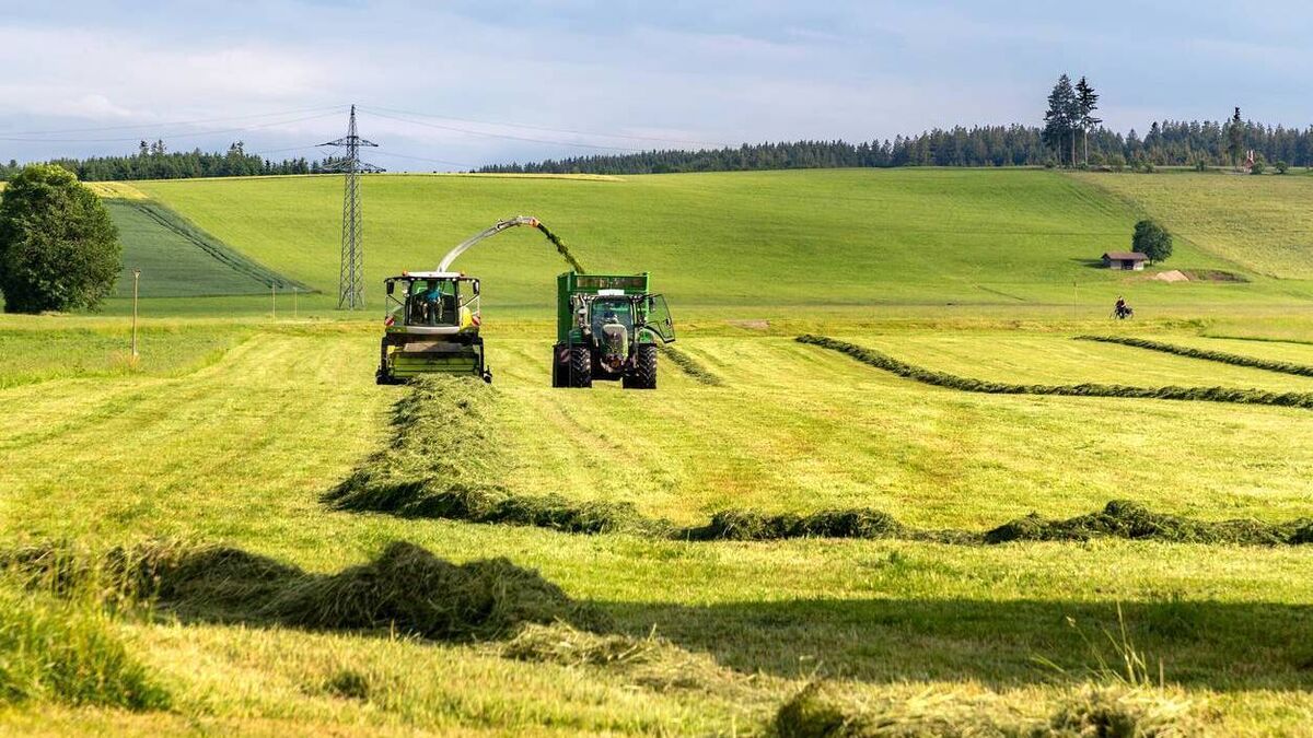 Farming: Fertiliser Support Package must be reserved for those who paid higher prices