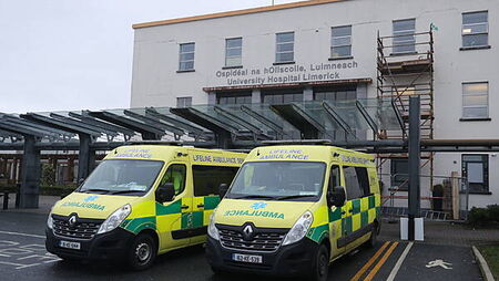 Heatwave bee swarm exacerbates overcrowding crisis at University Hospital Limerick
