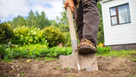 Green Fingers: Great expectations from our plants
