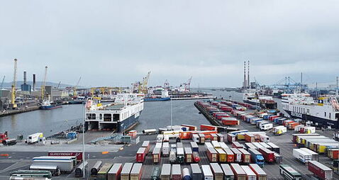 Domestic economy continues to perform despite global challenges — ESRI