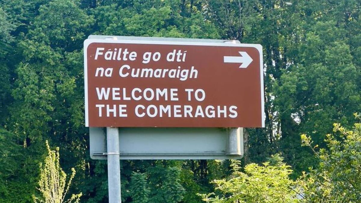 Rubbish dumpers in scenic rural Waterford need to be apprehended