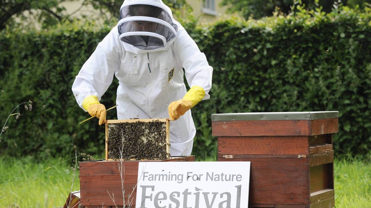 Farming for Nature Festival puts farmers at heart of sustainable food future