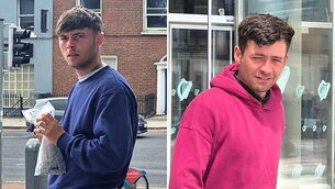 Man jailed for hurl assault after he stole victim's phone