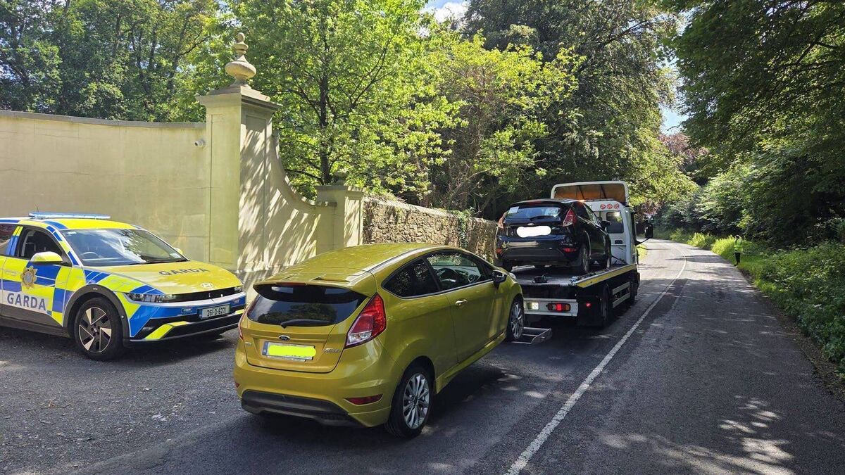 Heat rises for learner drivers as cars seized in Waterford sunshine
