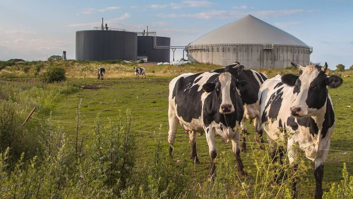 Farming: Joint Committee on Agriculture and Food publishes report on anaerobic digestion