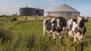 <p>The report found that Ireland "urgently" needs to explore "new and innovative forms of energy production".</p> <p>The report found that Ireland "urgently" needs to explore "new and innovative forms of energy production".</p>