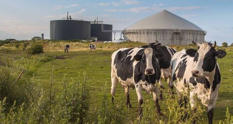 Farming: Joint Committee on Agriculture and Food publishes report on anaerobic digestion