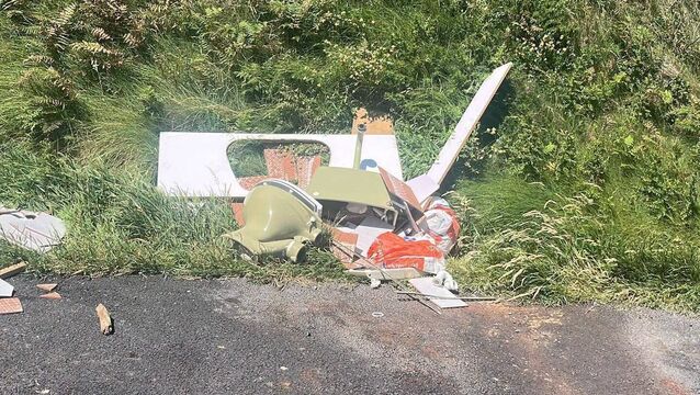 <p>The toilet, described as “retro avocado”, was one of a number of items illegally dumped at the Benvoy Beach carpark.</p>