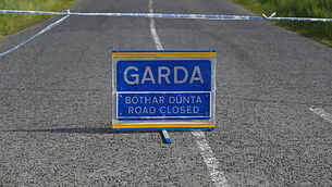 Farmer's confidence in Bord Bia will only be restored with new chairperson Farmer's confidence in Bord Bia will only be restored with new chairperson