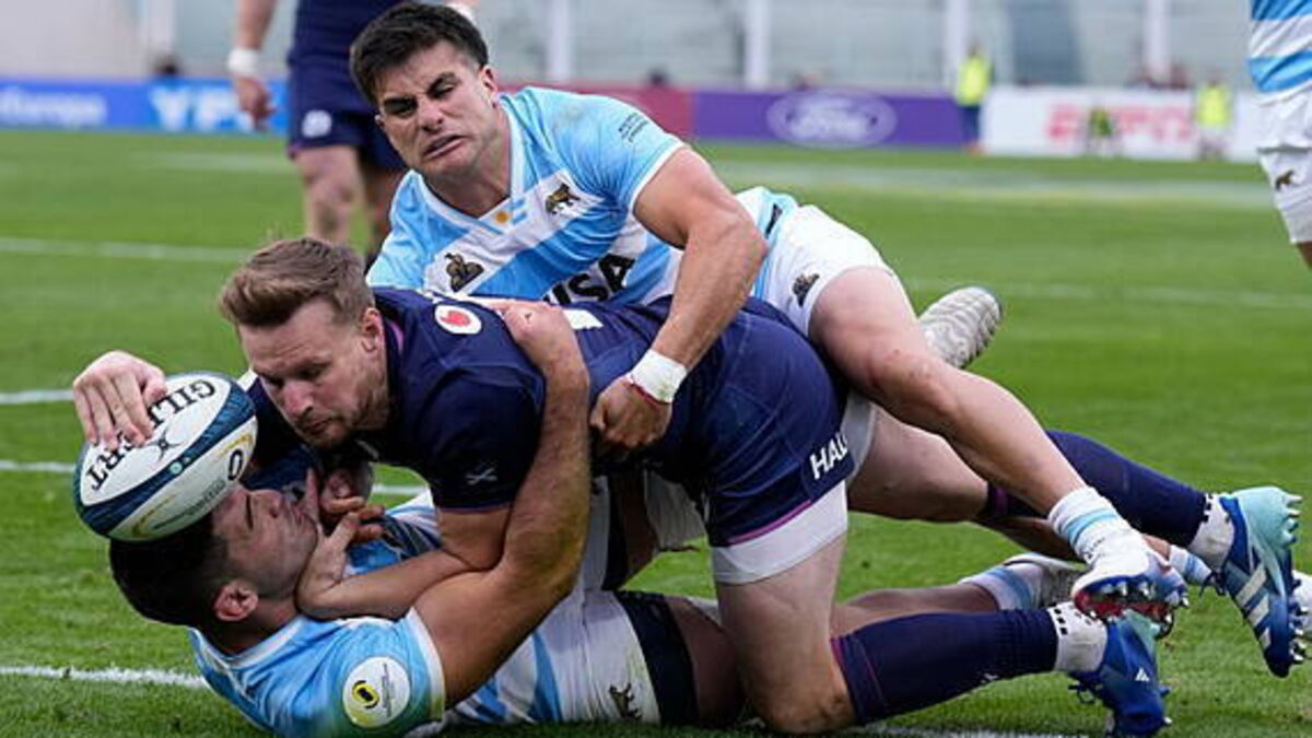 Scotland open Nations Championship campaign with stylish win over Argentina