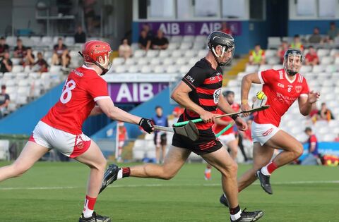 Ballygunner turn on the style to swat Passage aside in 19-point win - GAA - Waterford News & Star