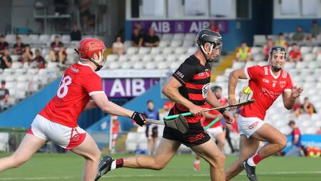 Ballygunner turn on the style to swat Passage aside in 19-point win