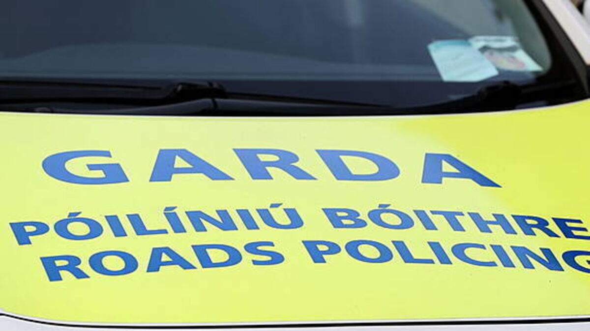 Woman (50s) dies in assault in Co Laois