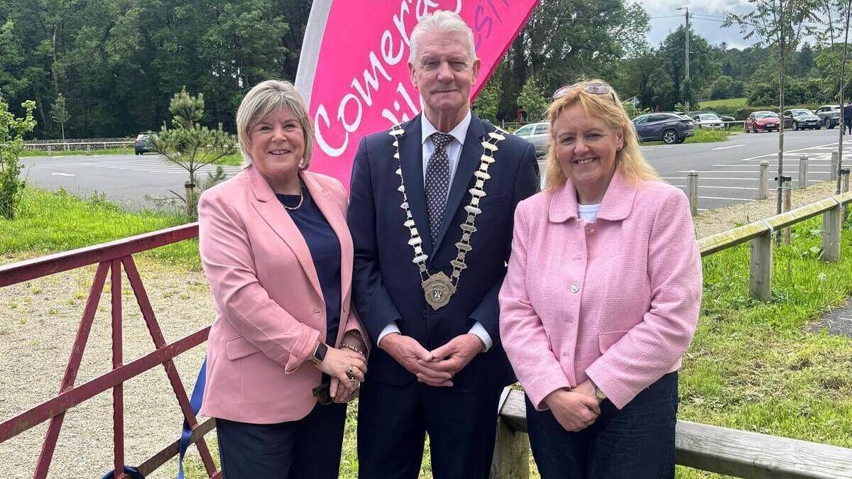 Positive update on connection of Waterford estate to public water supply