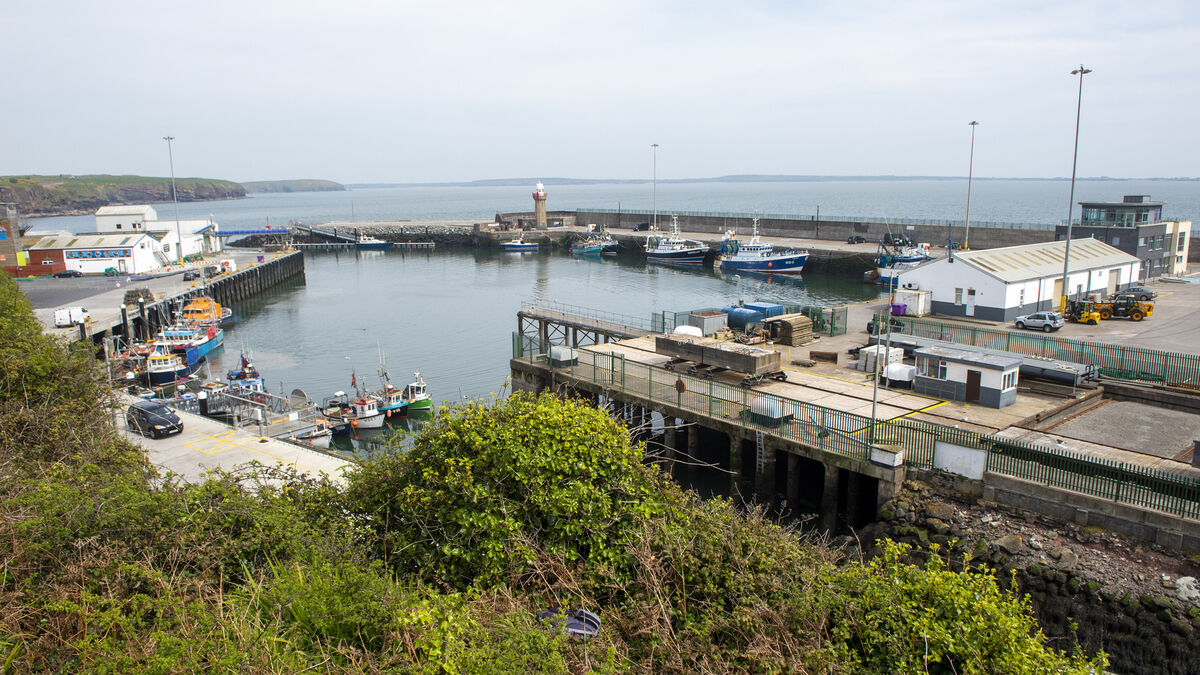 Dunmore East harbour cannot wait seven to 10 years for upgrade according to Waterford TD