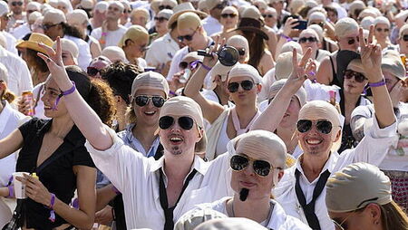 Mr World Record: Pitbull recognised for largest gathering of people in bald caps