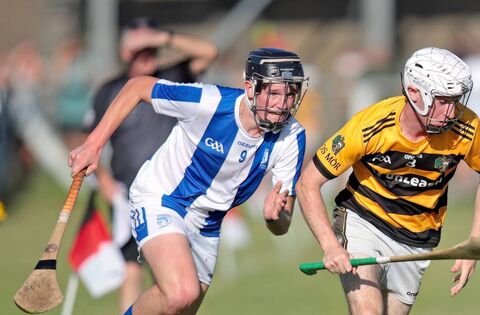 Ryan runs riot with five-star display for Fourmilewater - GAA - Waterford News & Star