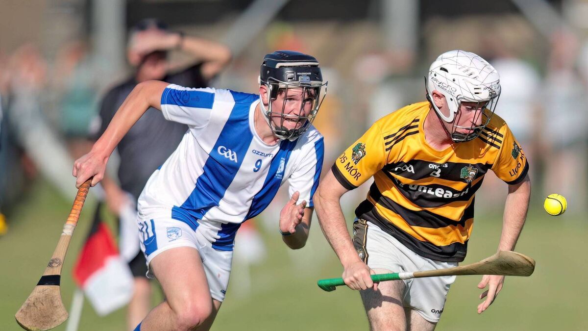 Ryan runs riot with five-star display for Fourmilewater