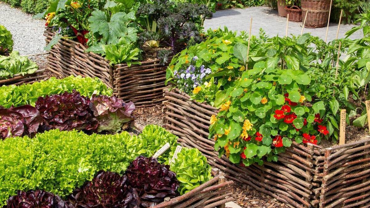 Green Fingers: Rethinking gardening activities