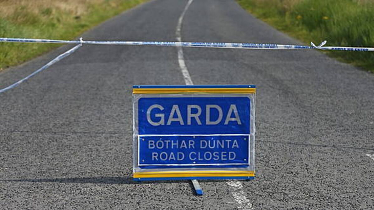 Man and woman (70s) die in Louth crash