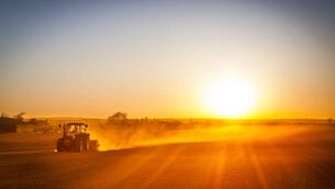 <p>The current high temperatures affecting Ireland can pose a risk to both pets and livestock. </p> <p>The current high temperatures affecting Ireland can pose a risk to both pets and livestock. </p>
