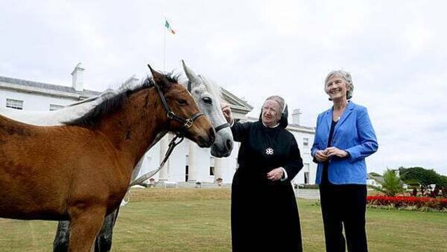 Kylemore Abbey’s Connemara 'peaceful ponies' return for a third time to Áras an Uachtaráin