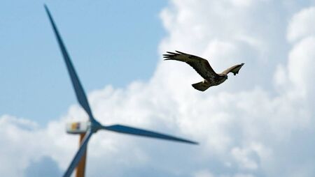 'Nothing has changed' - Waterford Council stands firm against controversial windfarm plan